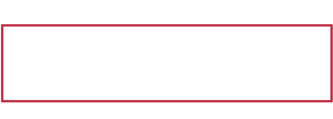 BACHATOURS USA
