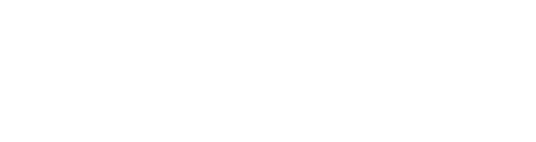 Leuven Slush'D