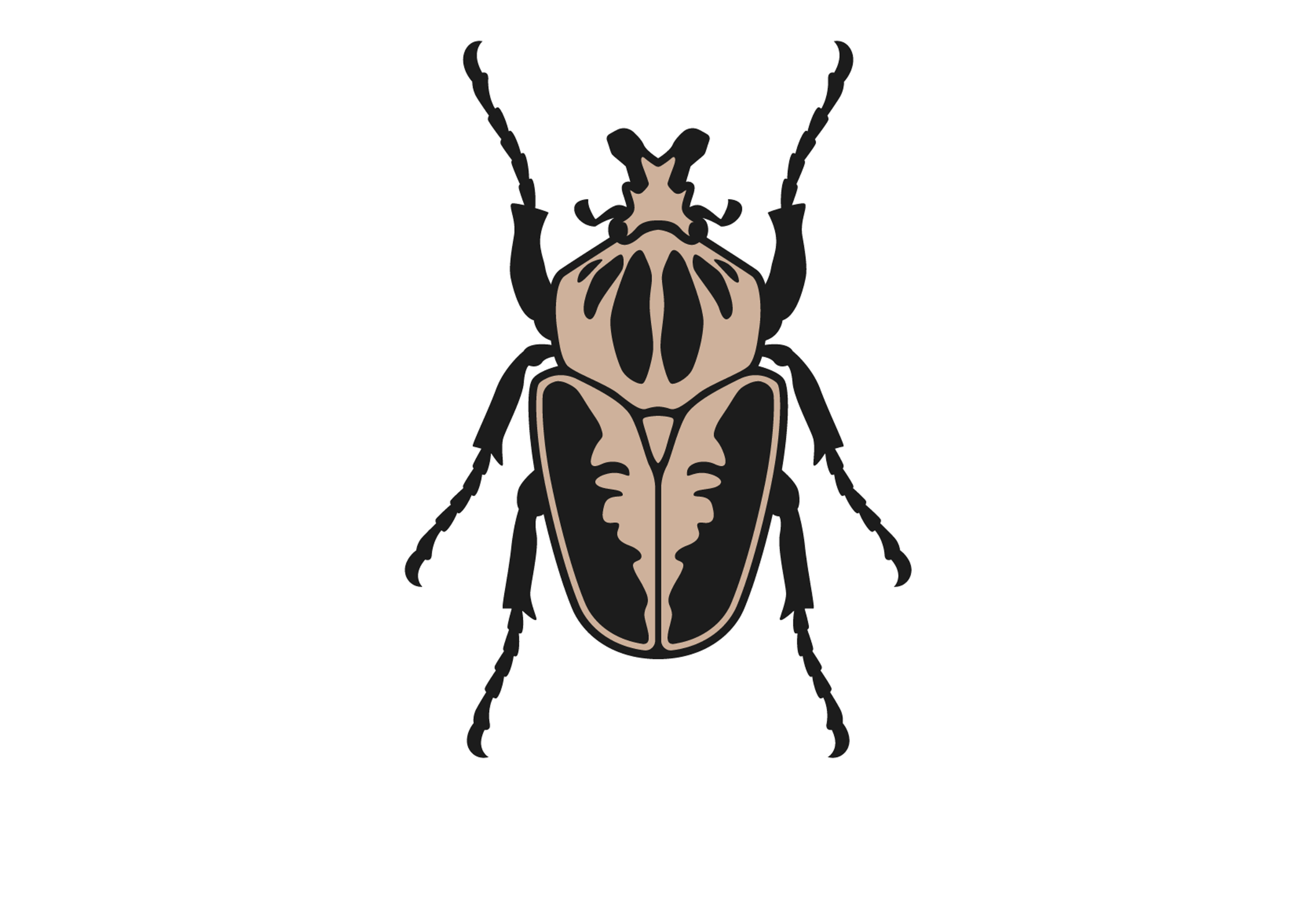 Invert Shows