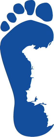 Portuguese Surf Film Festival