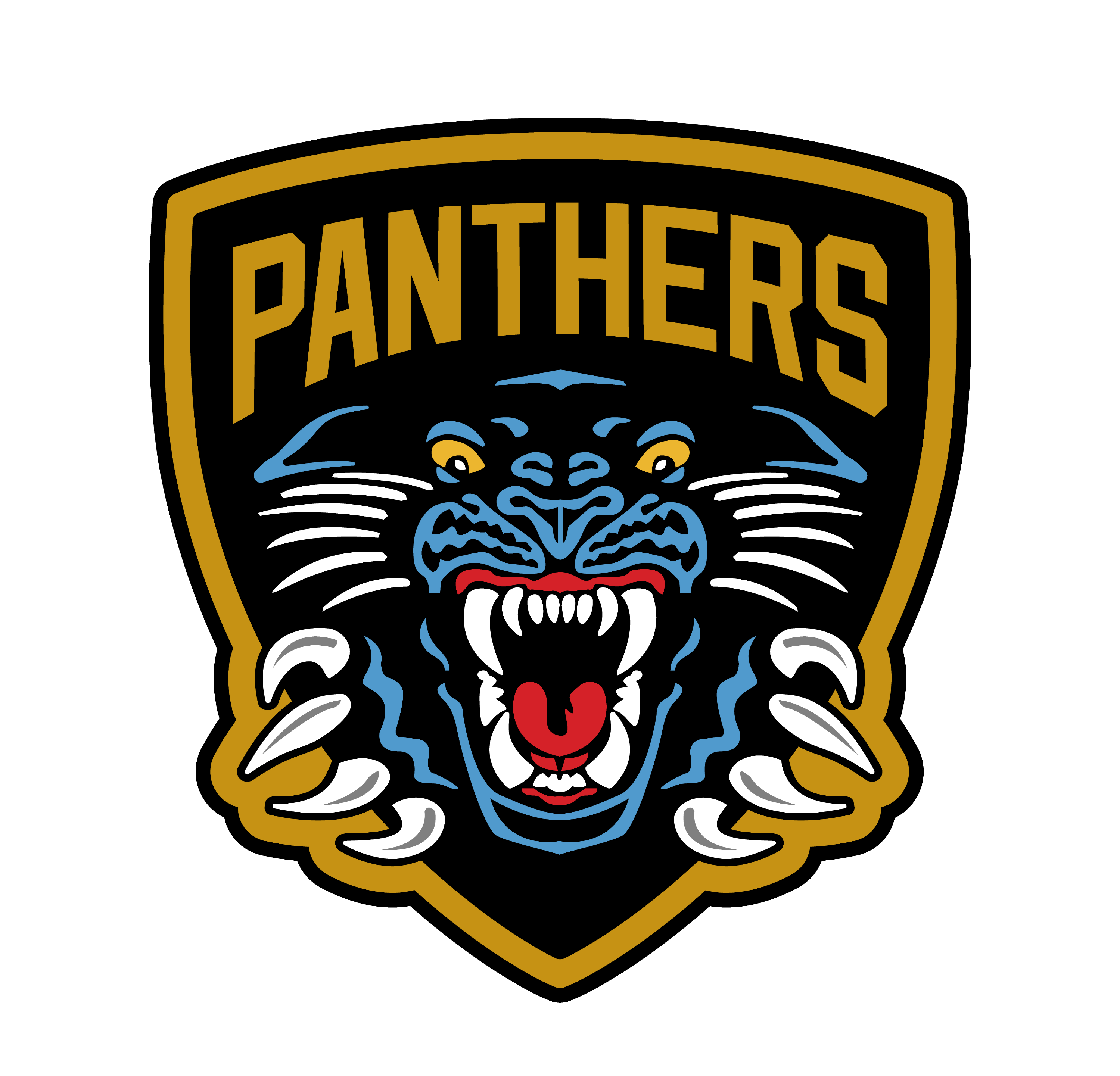 Panthers Charity Events