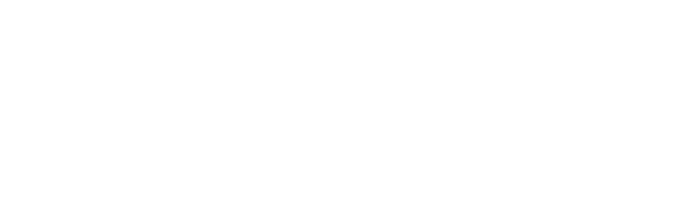 INSOMNIA - THE GAMING FESTIVAL