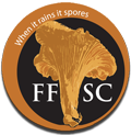 FFSC