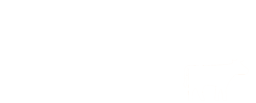 DDD South West