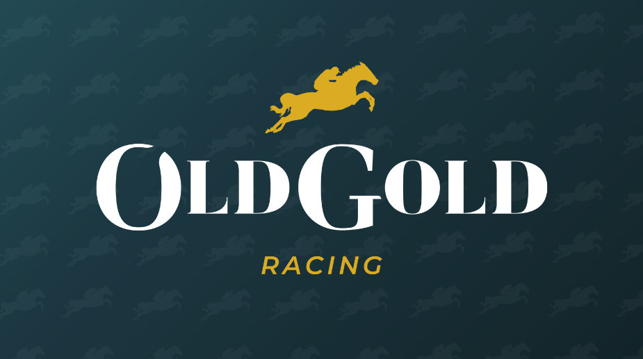 Buy tickets – Old Gold Racing Goes Racing: Cheltenham November Meeting ...