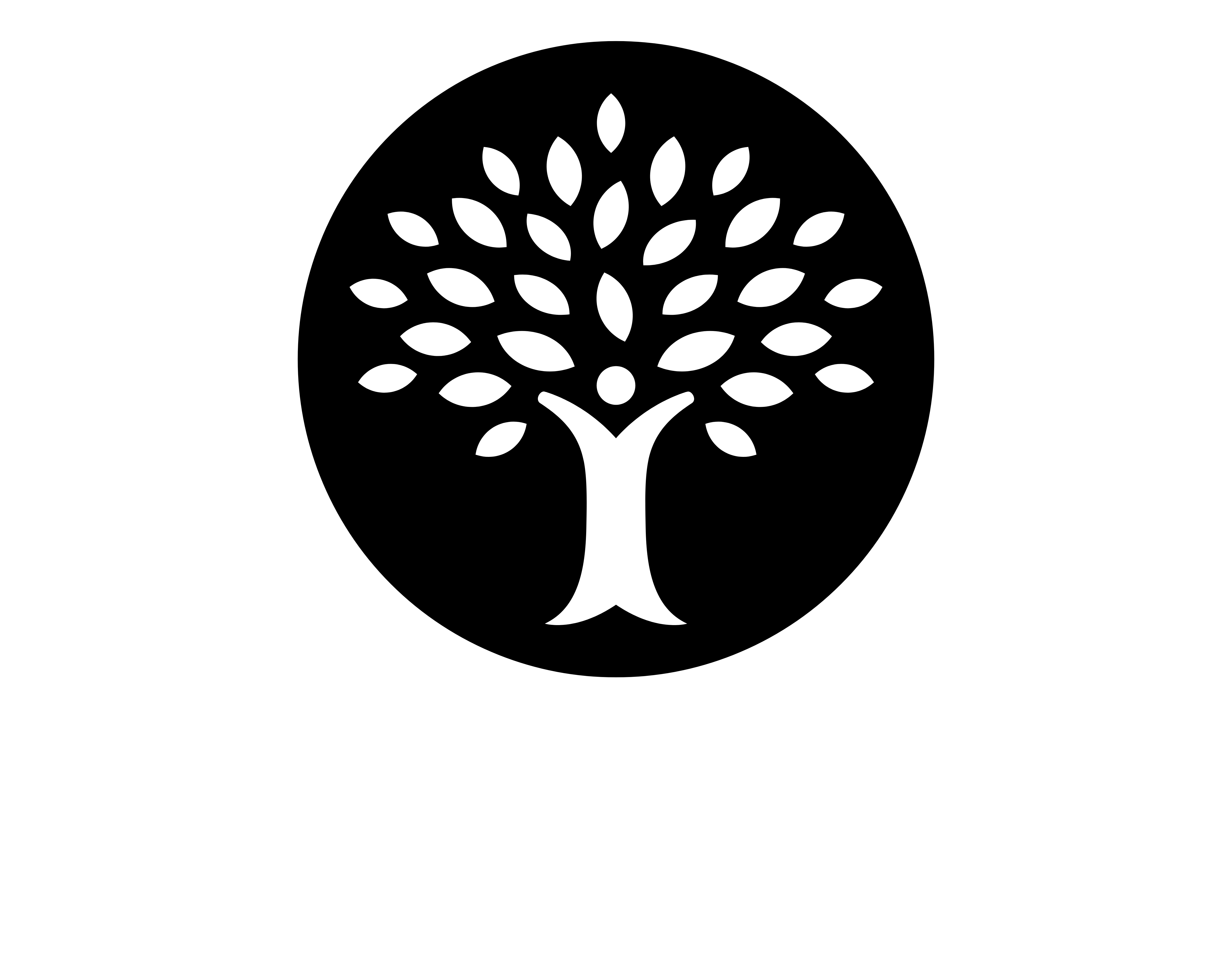 Chief Academy