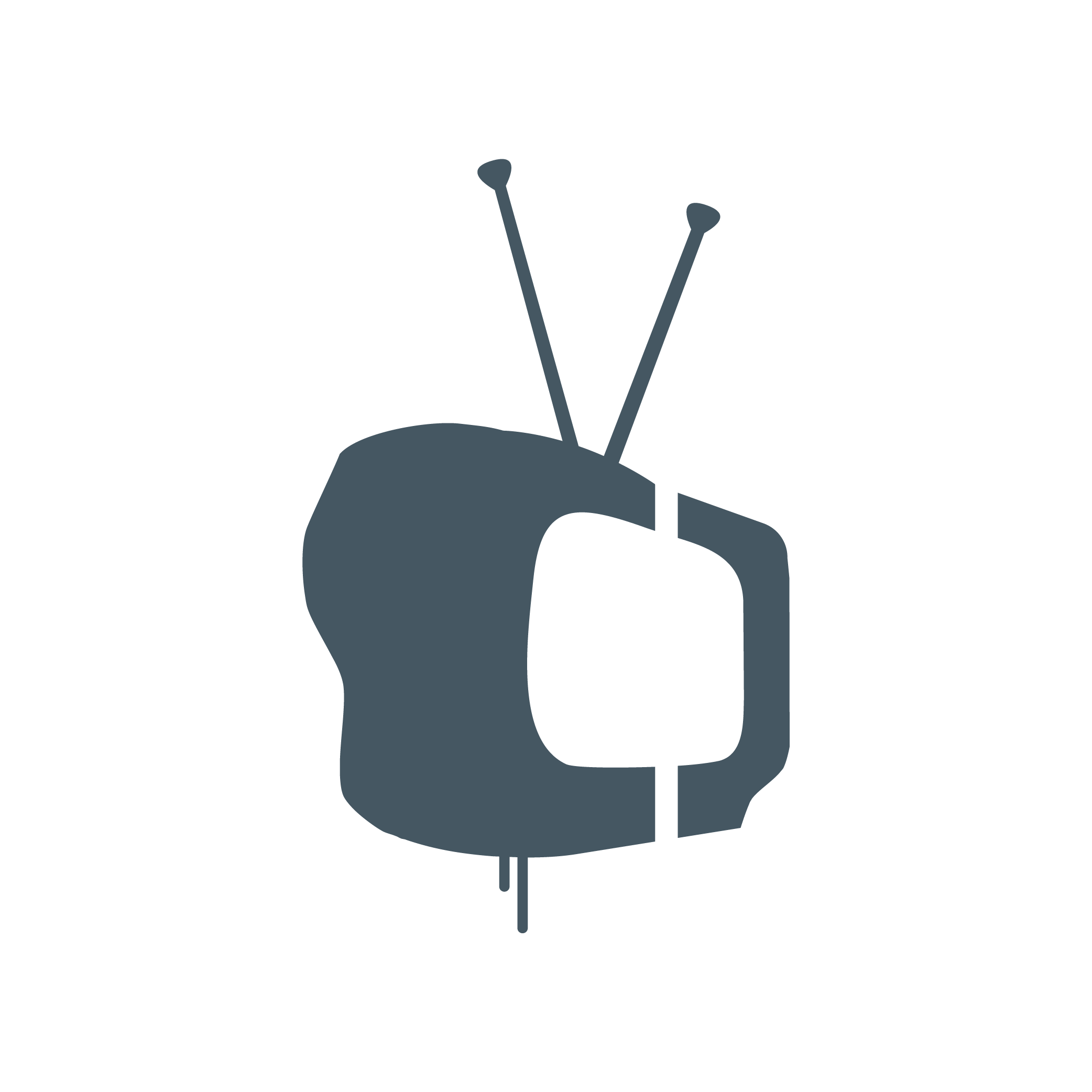 The Television Workshop