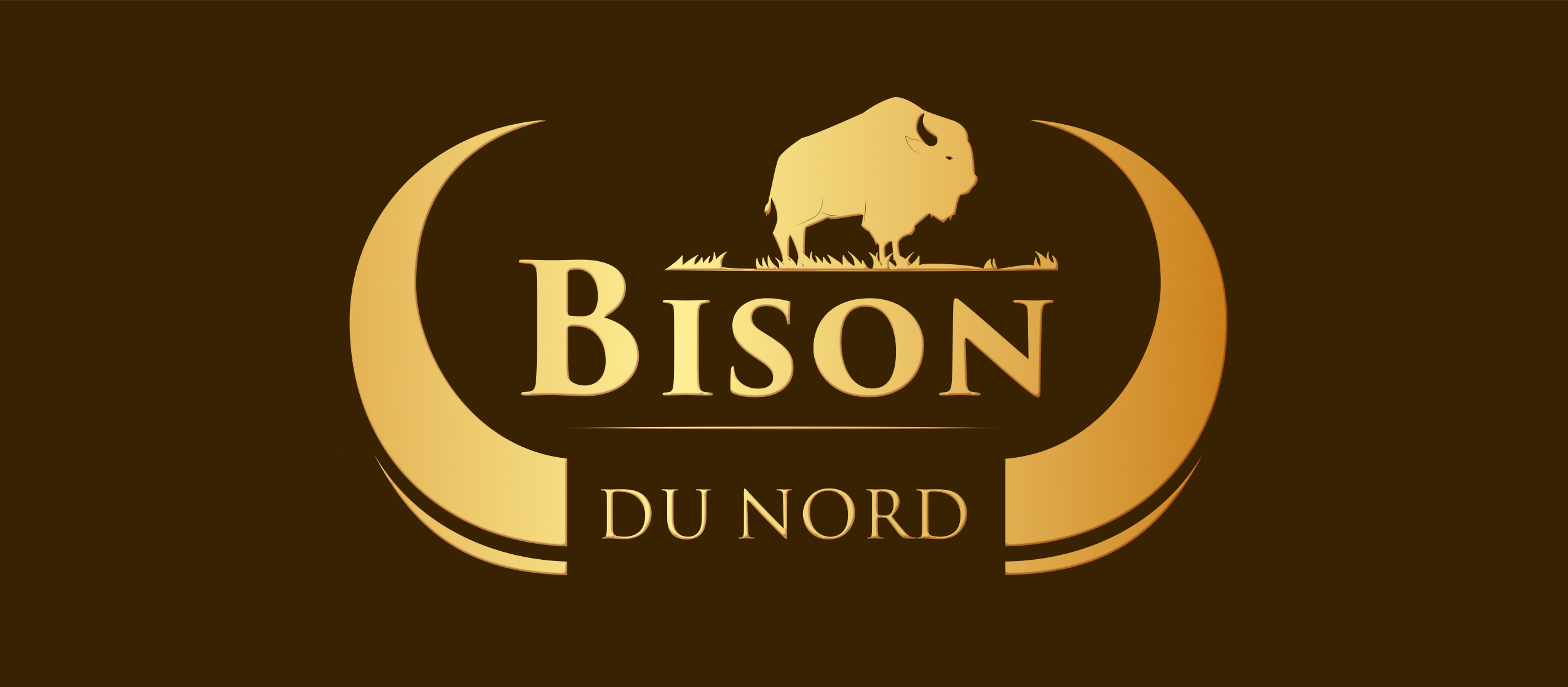 Bison du Nord