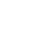 DISCO RIOT