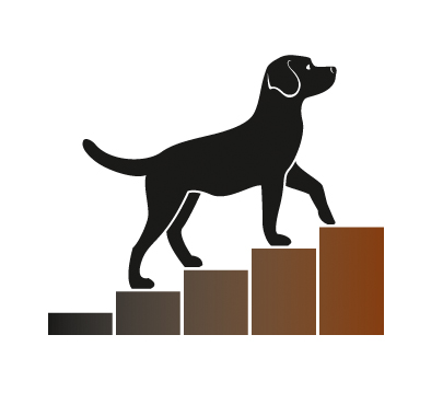 Hundekompetenz