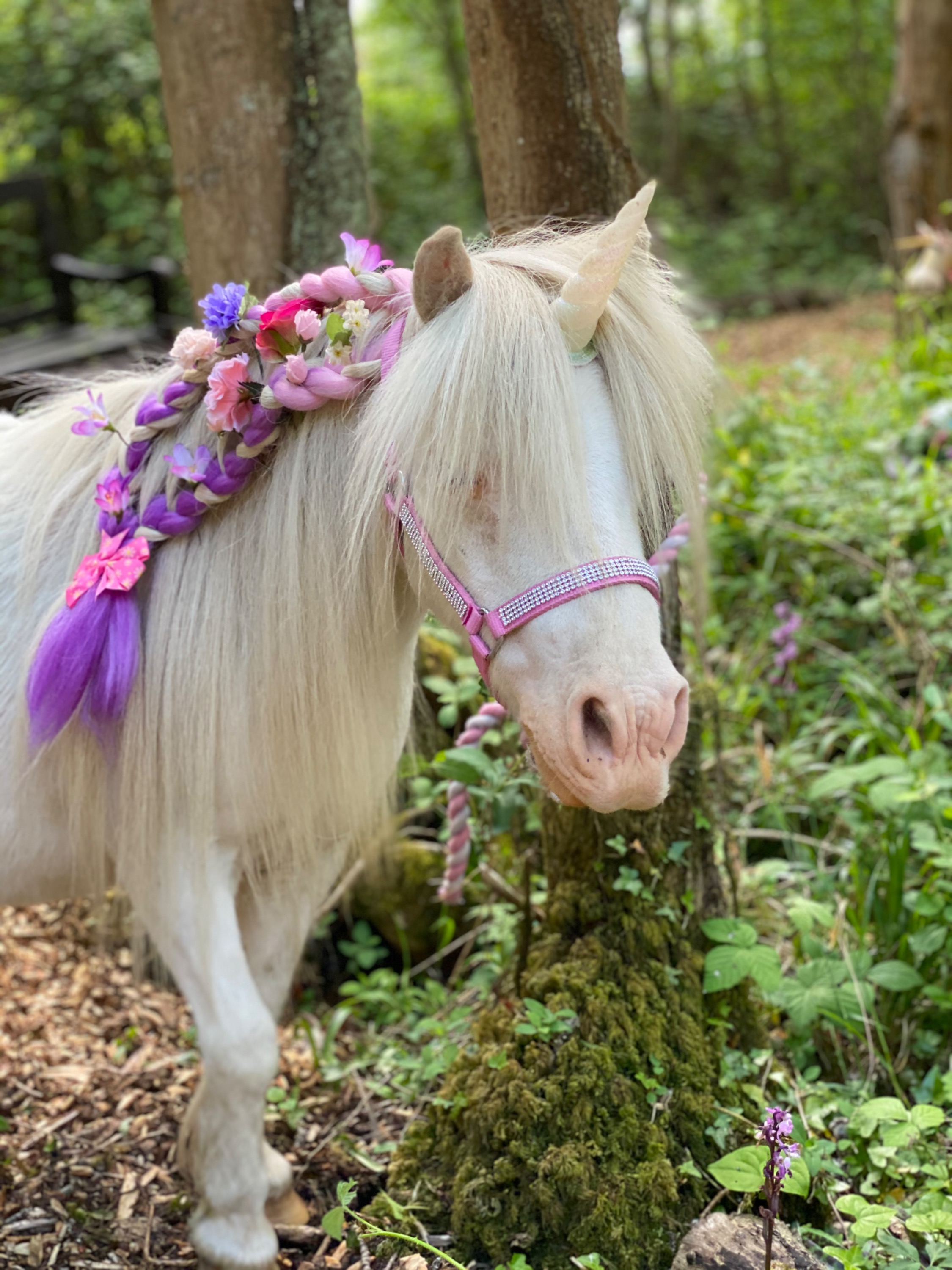 My Little Unicorn