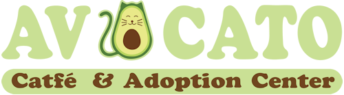 Avocato Catfé and Adoption Center