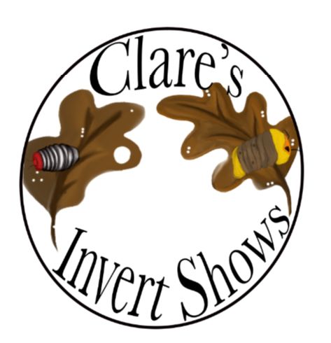 Clare's invert shows