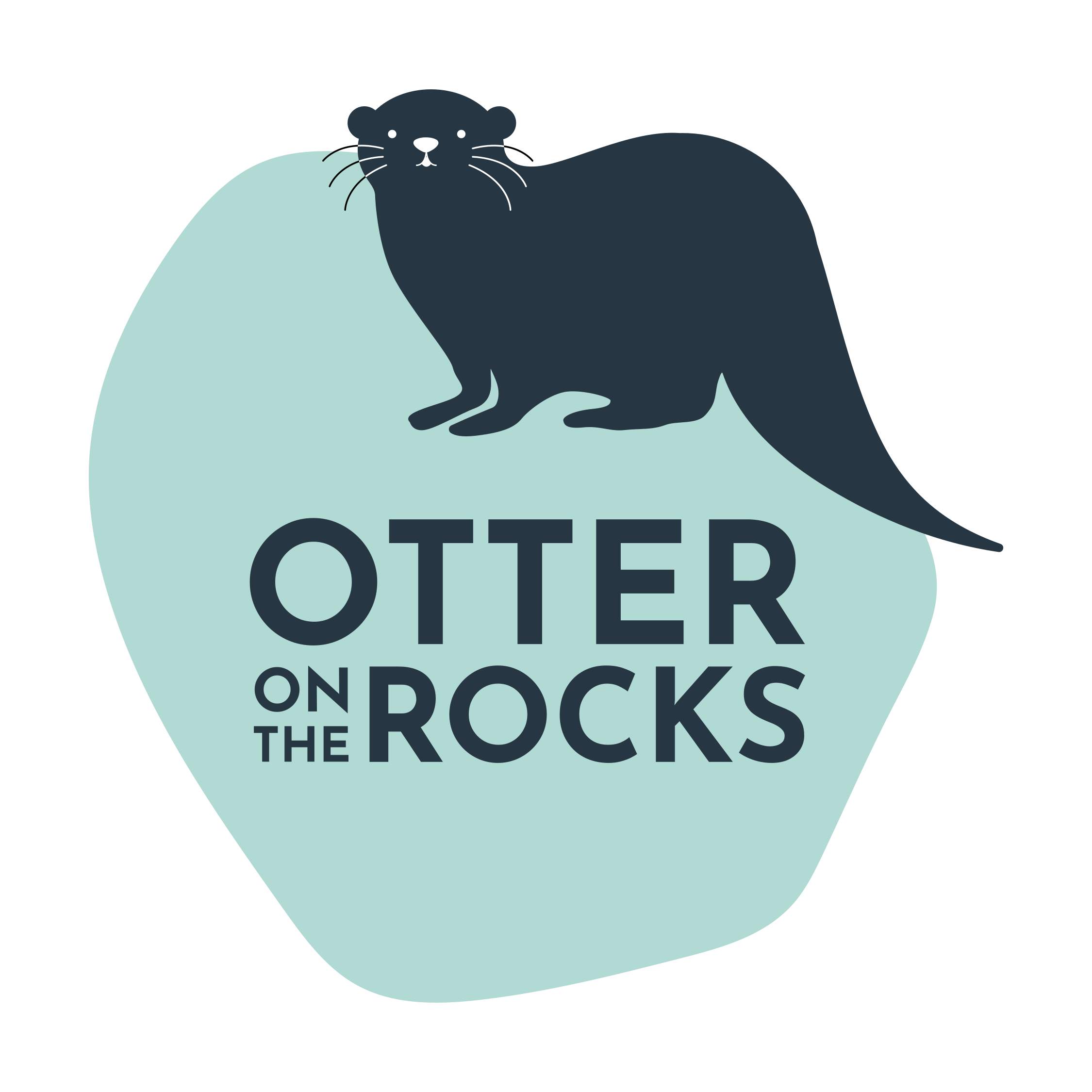 Otter on the Rocks