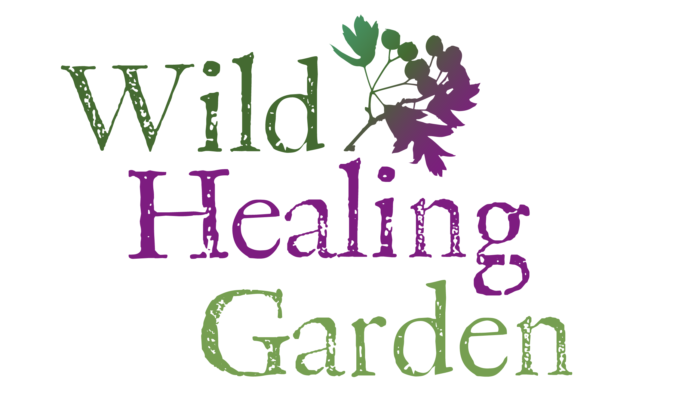 Wild Healing Garden