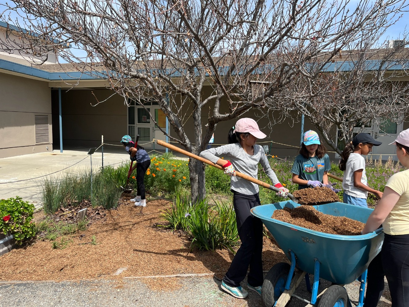 Giving Back by Gardening Together With Living Classroom 