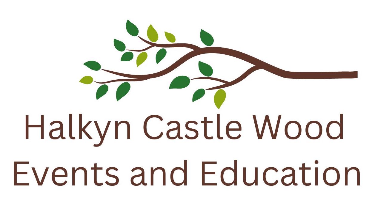 Halkyn Castle Wood Events and Education Ltd