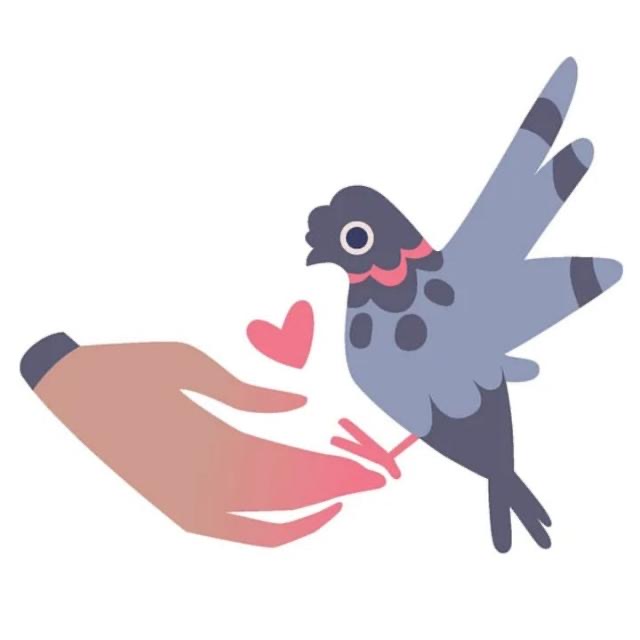 Grey Angels Pigeon Rescue