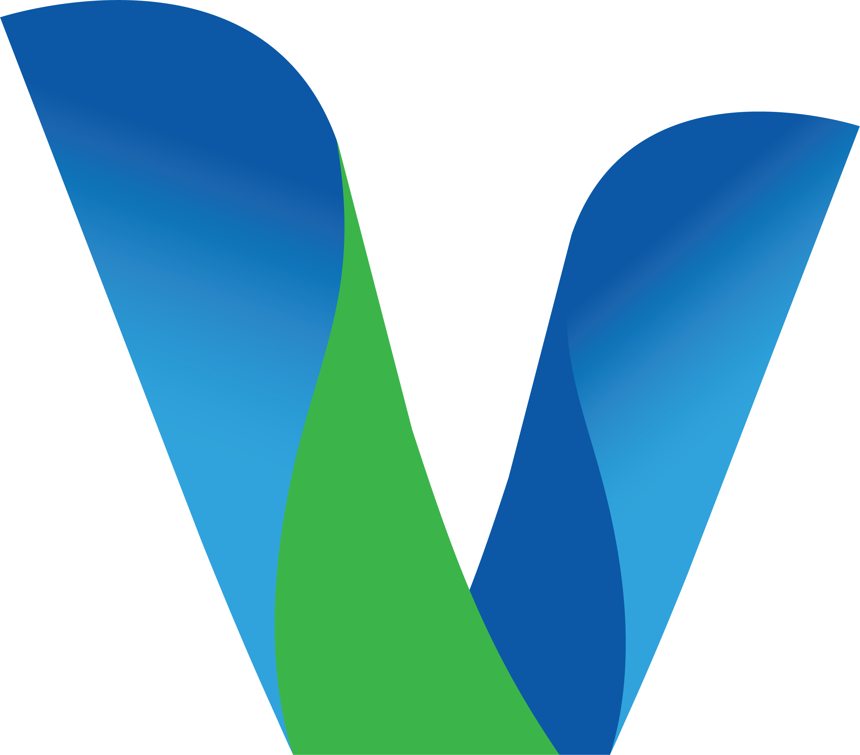 WCMICS