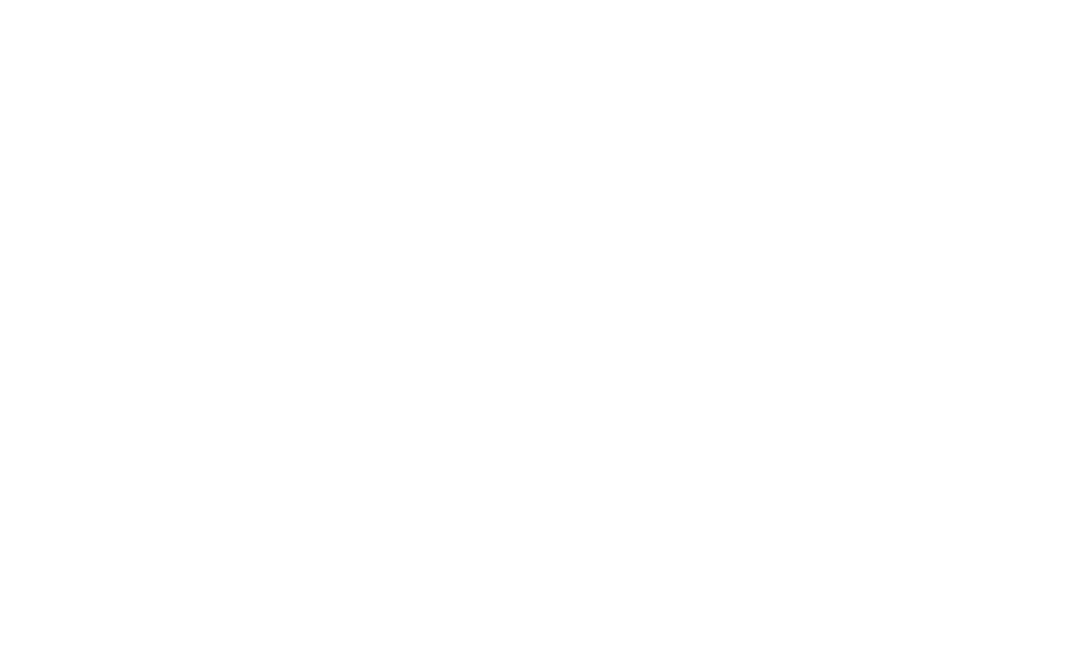 Oussama Ammar