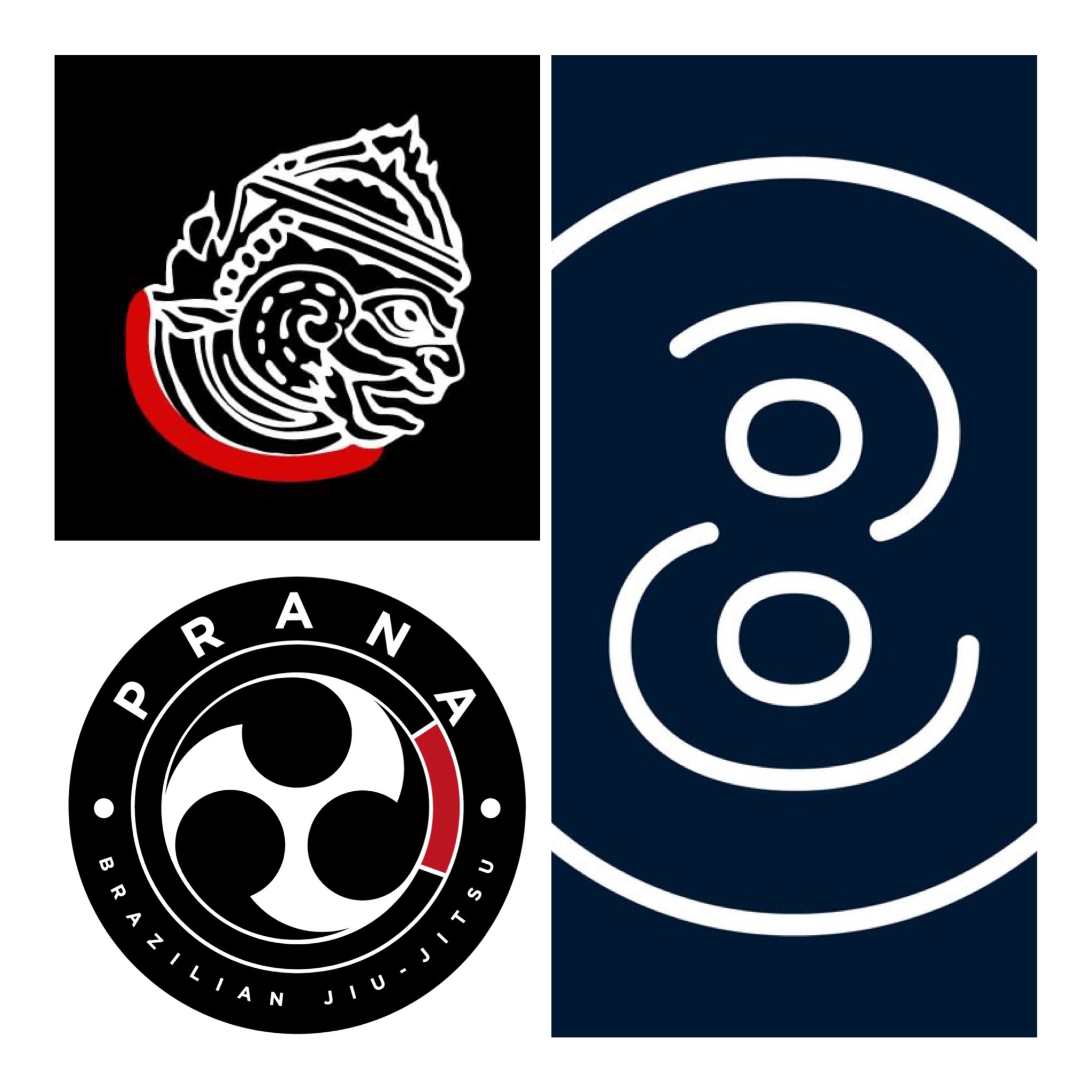 Martial Arts Events