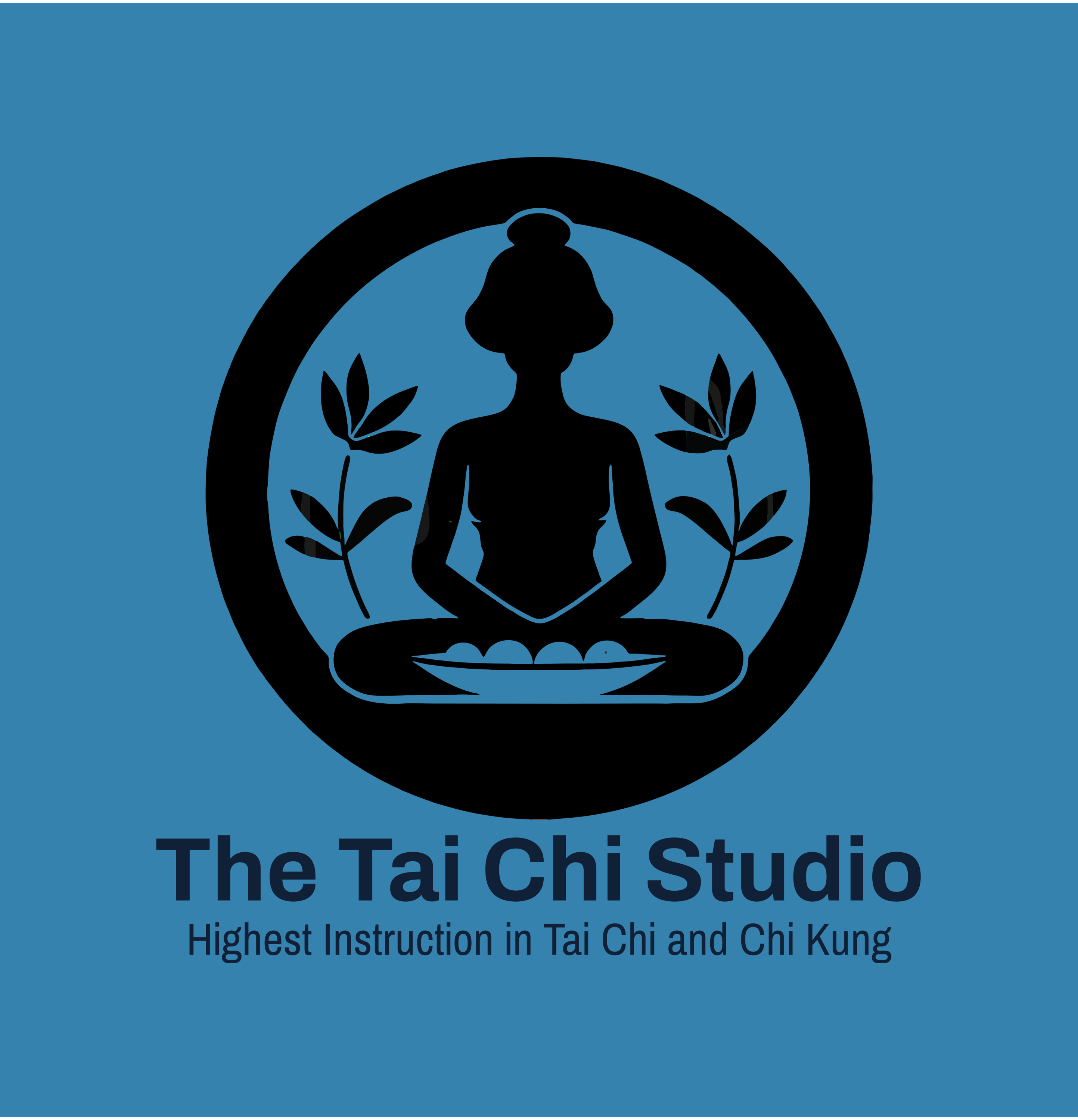 The Tai Chi Studio
