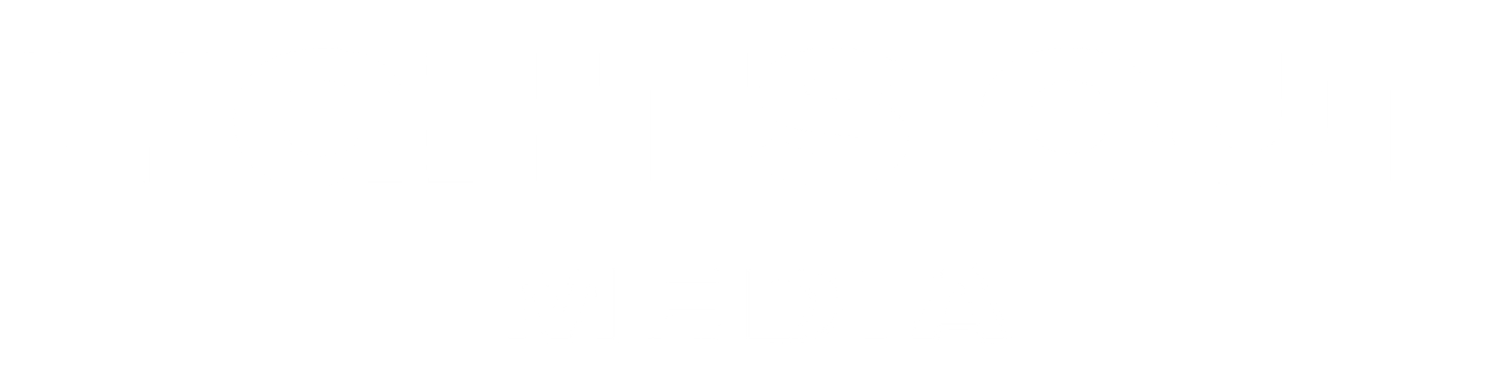 LIGHTS OUT MEDIA LLC