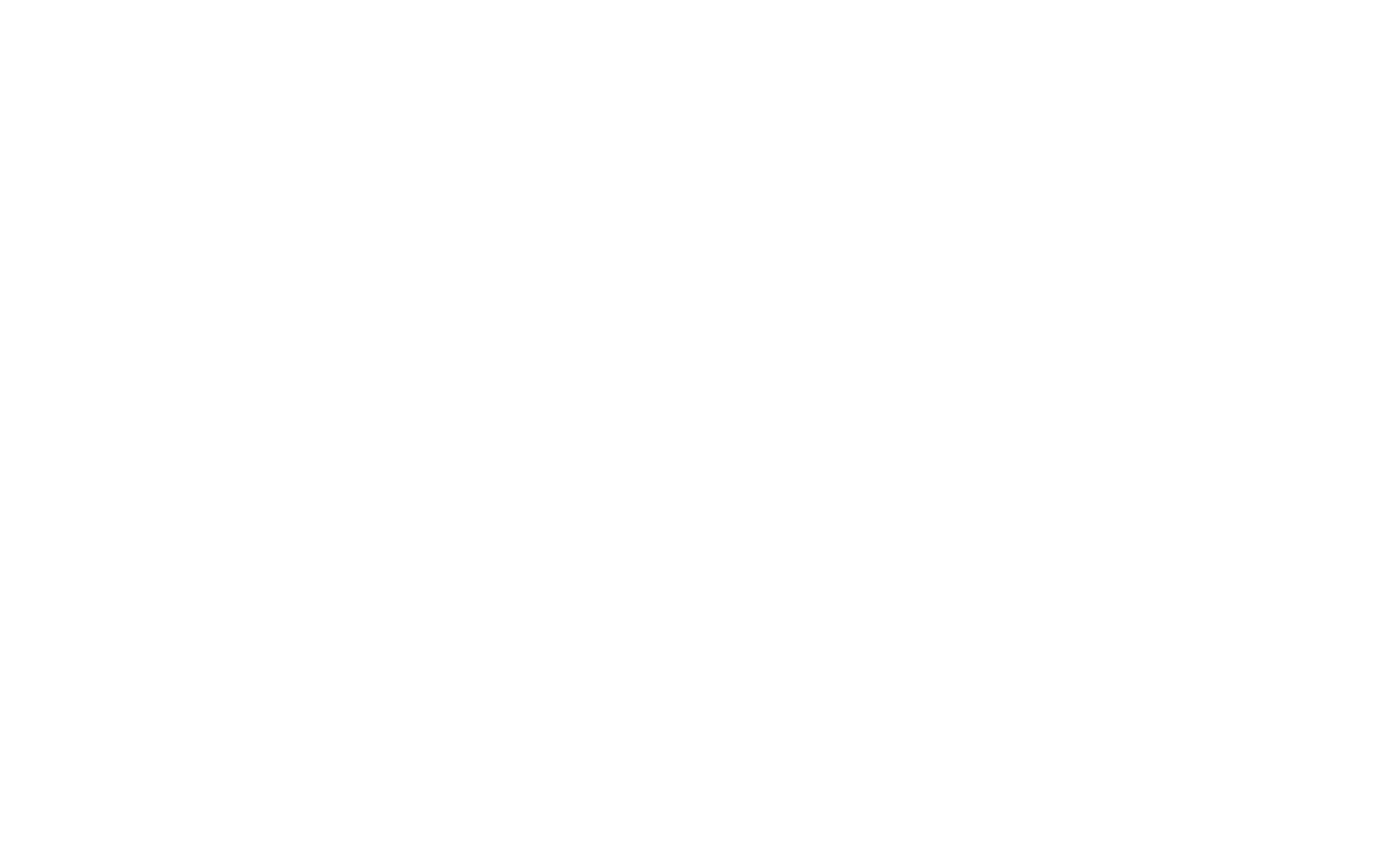 The Women's Film Festival