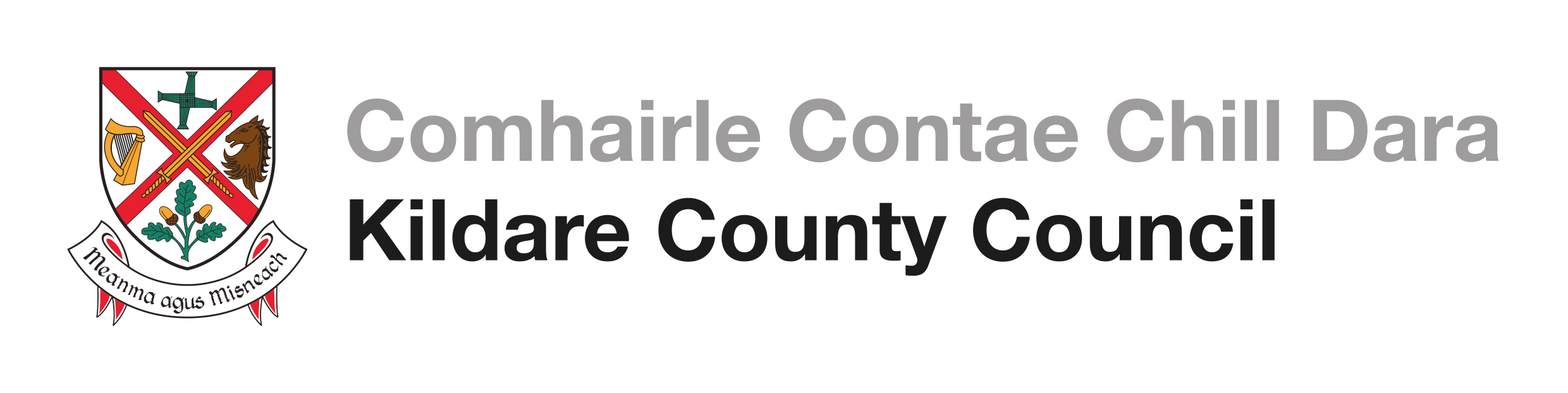 Kildare Arts Service