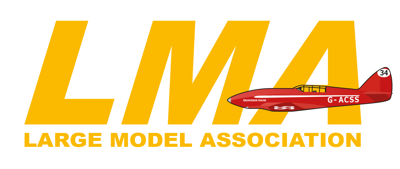 Large Model Association