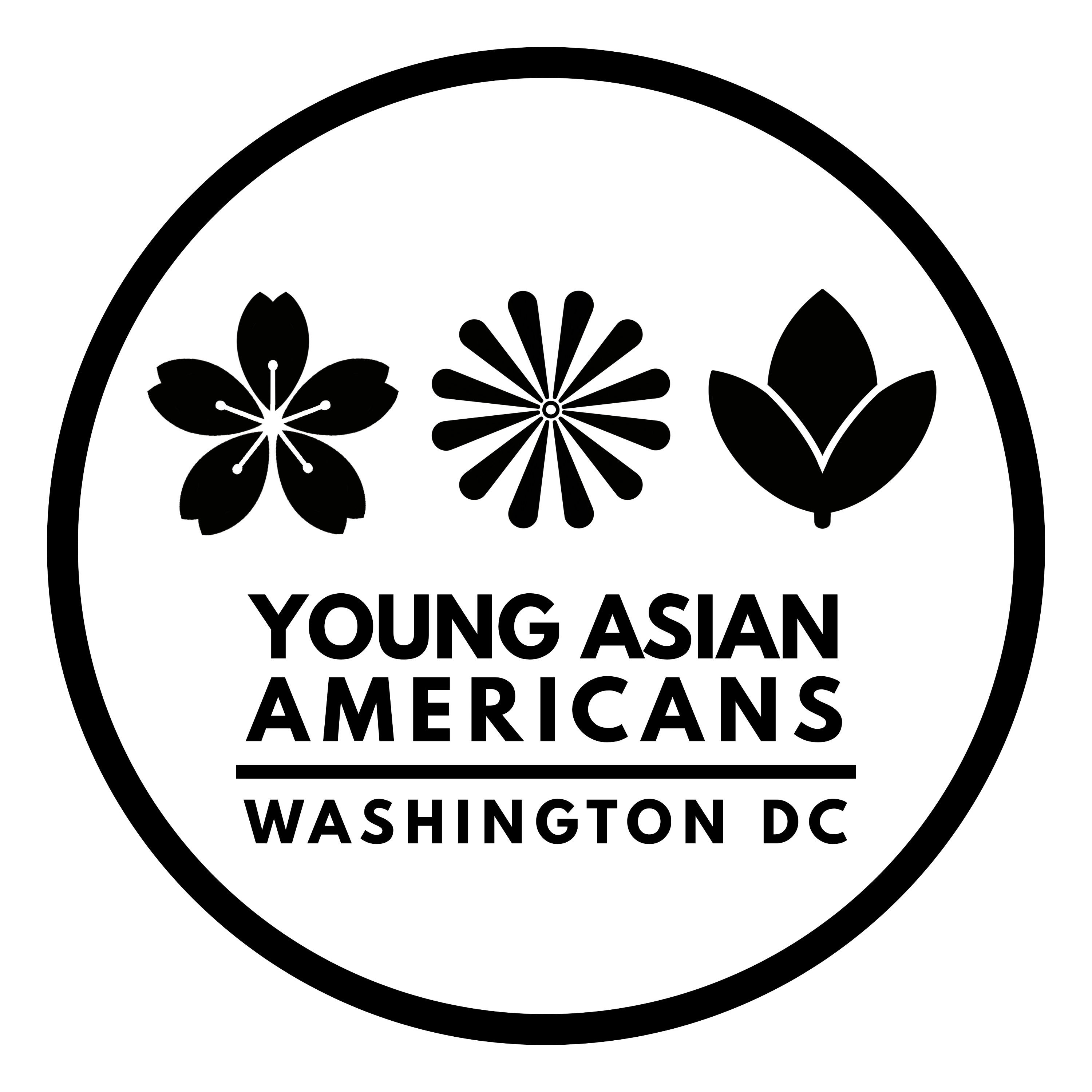 Young Asian Americans of Washington DC