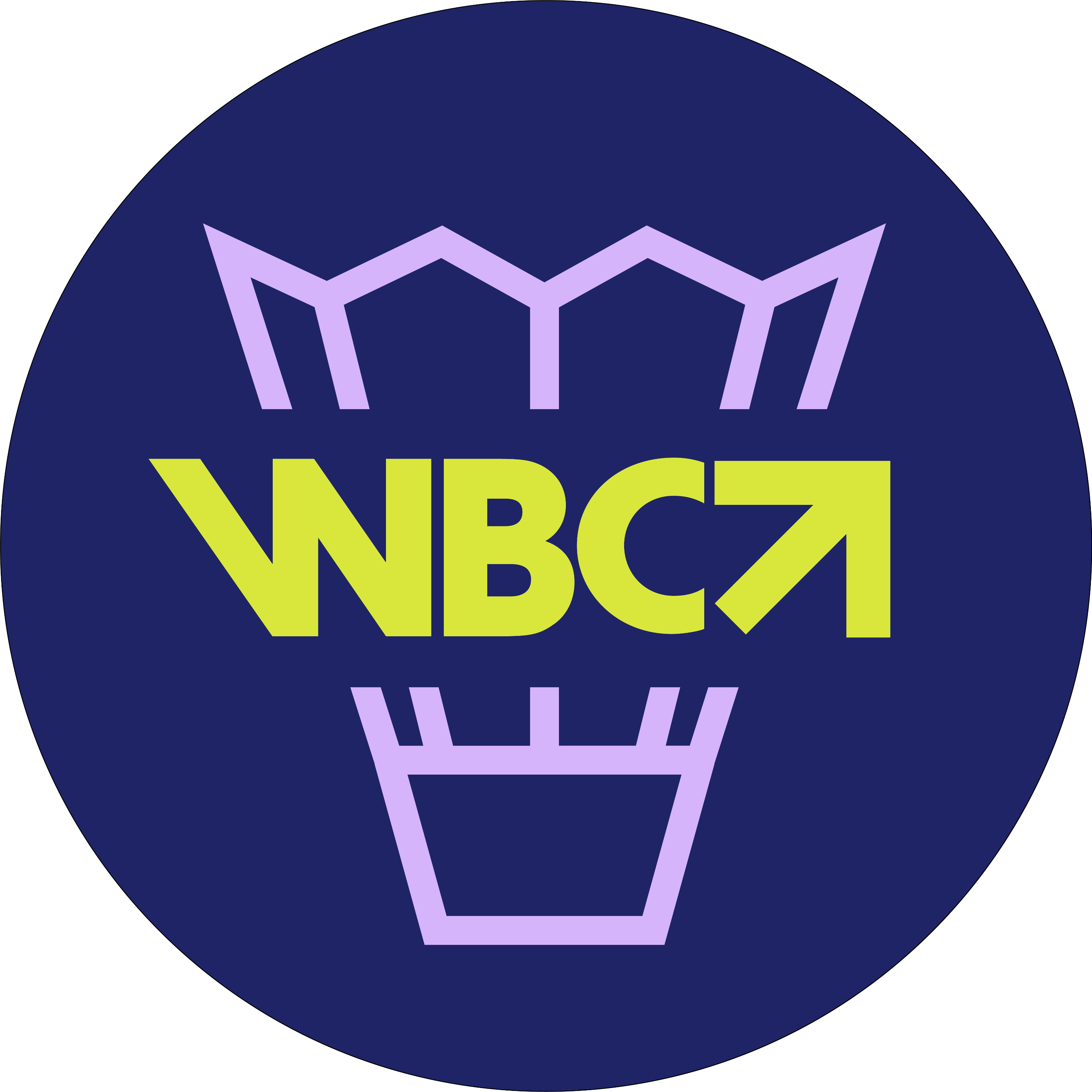 Womens Badminton Collective