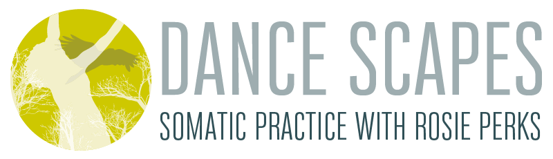 Dance Scapes