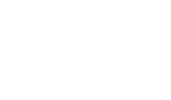 WDC Housing Engagement