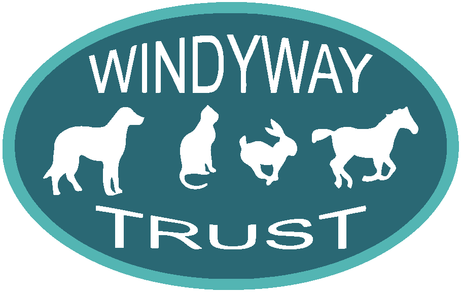 Windystock