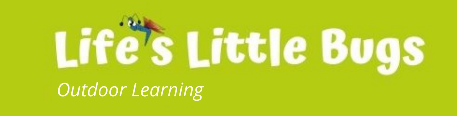 Life's Little Bugs
