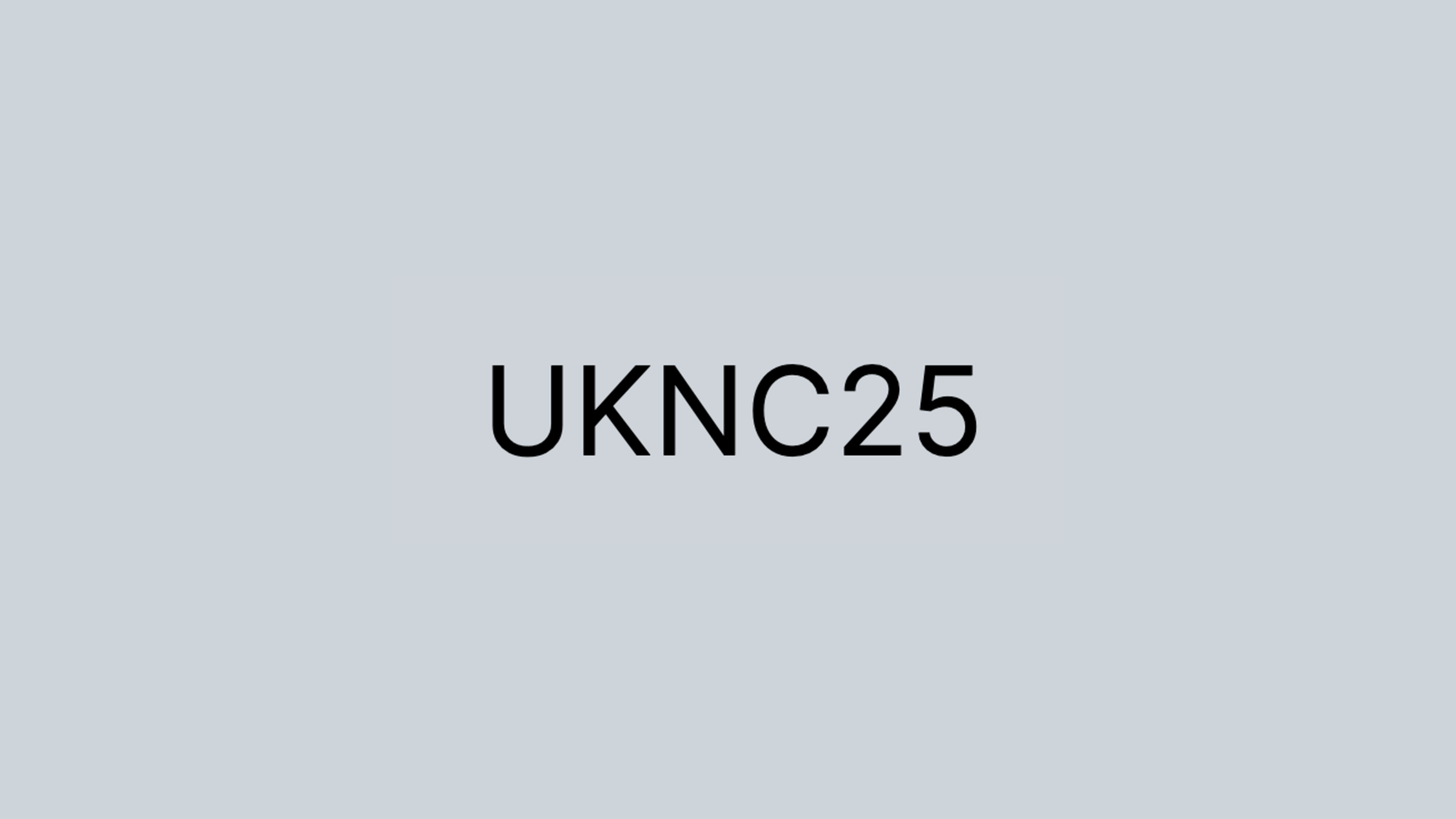UK Neural Computation 2025