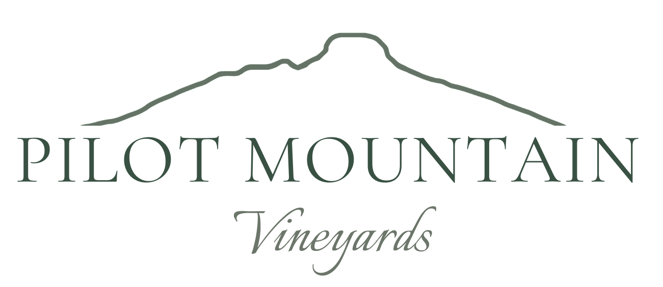 Weddings at Pilot Mountain Vineyards