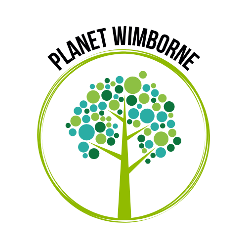 Planet Wimborne