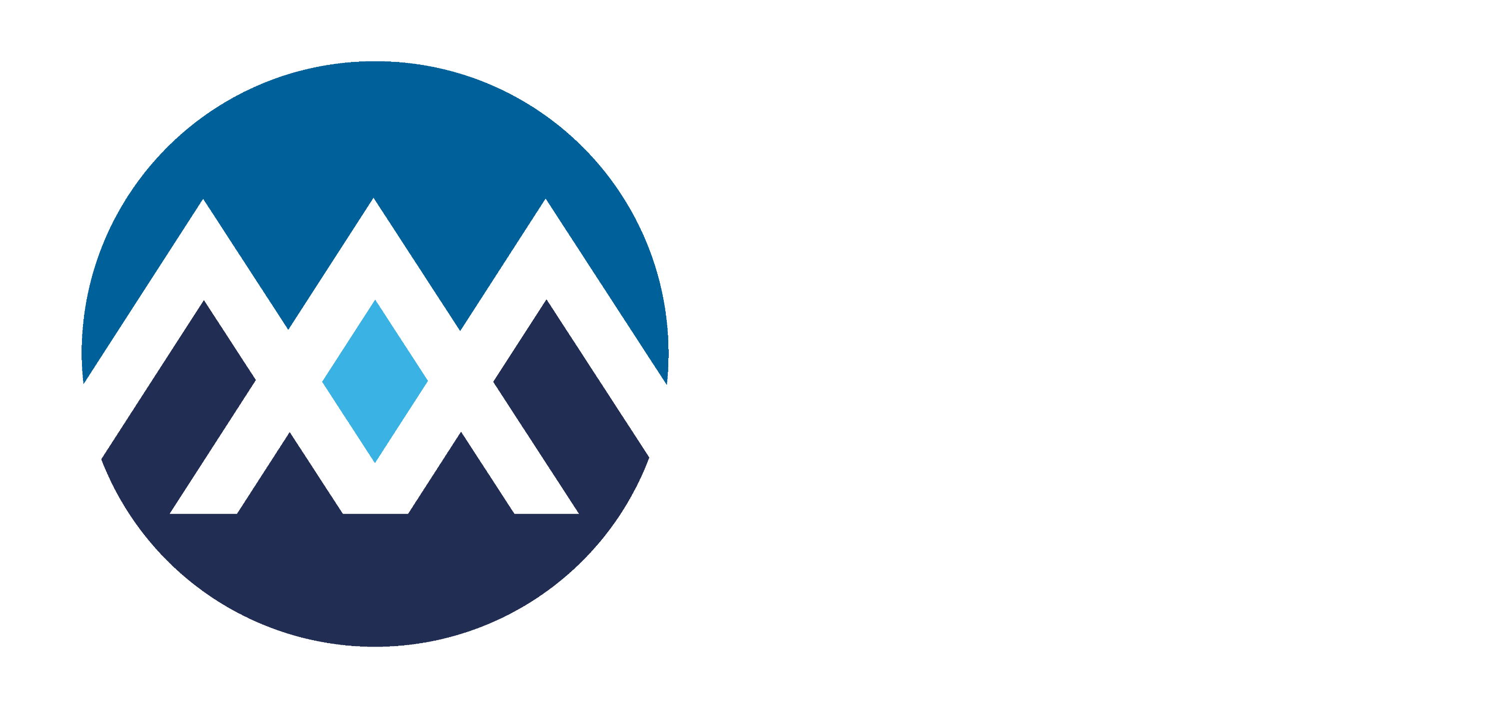 The Manor Academy