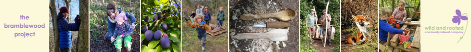 The Bramblewood Project