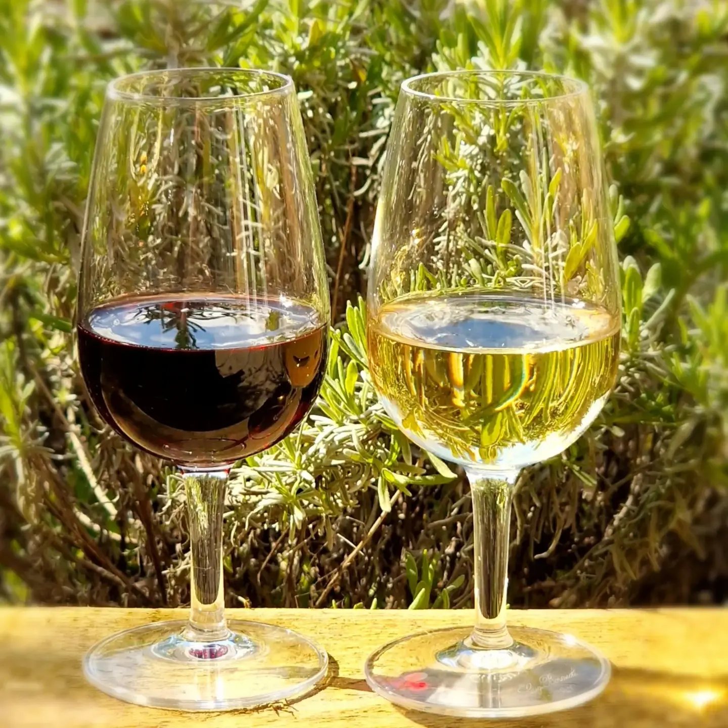 Deddington Wine Festival