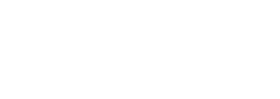 Foundation for Auditing Research