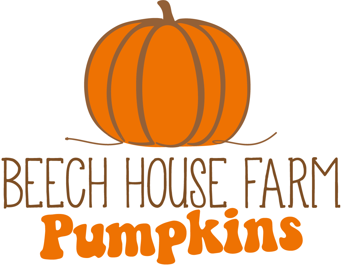 Beech House Farm Pumpkins