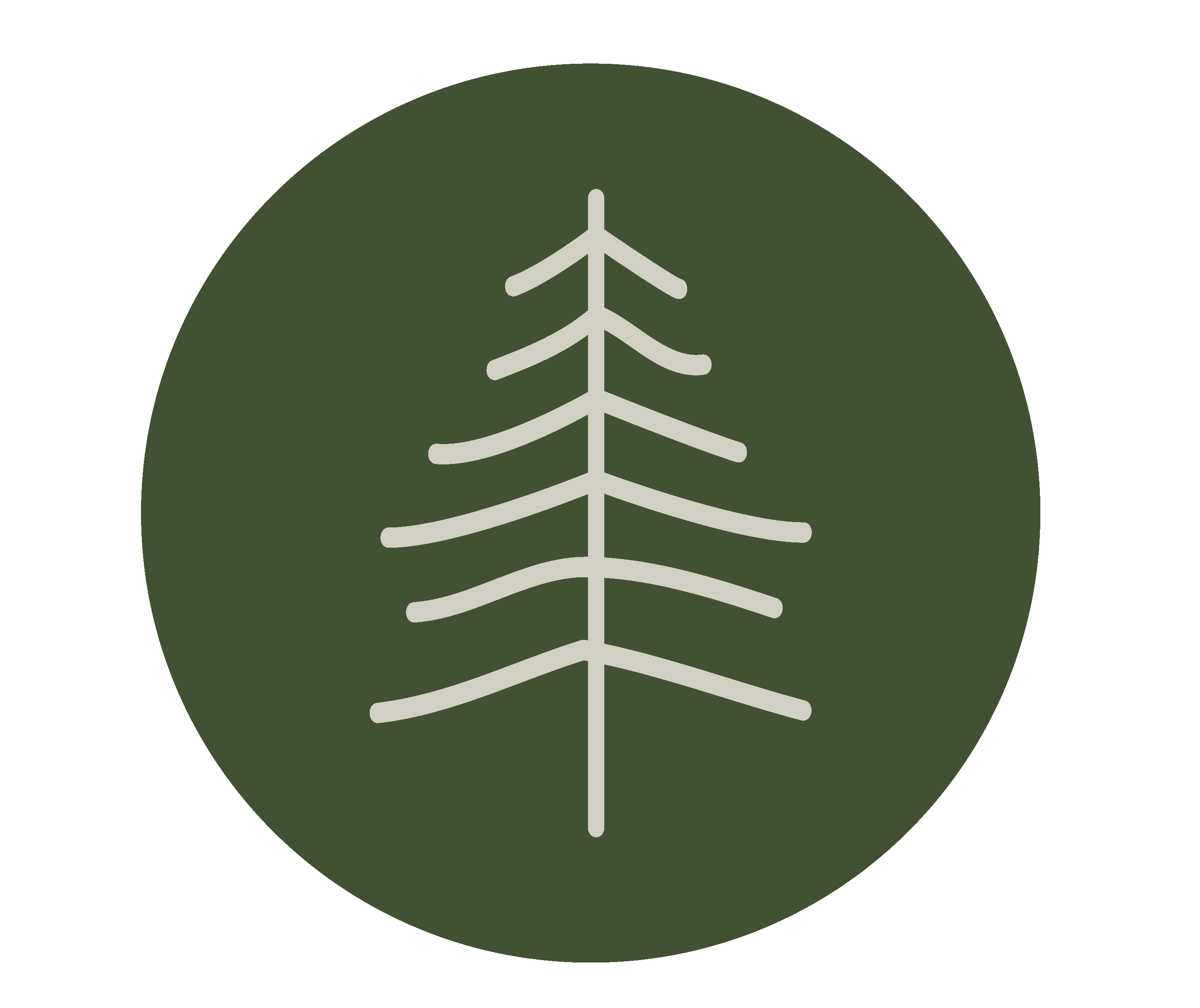 Woodland Roots