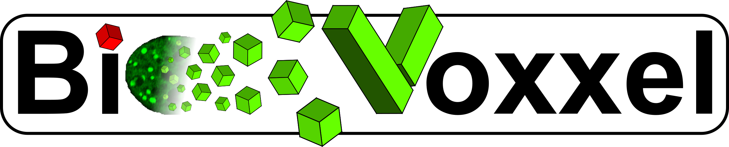 BioVoxxel