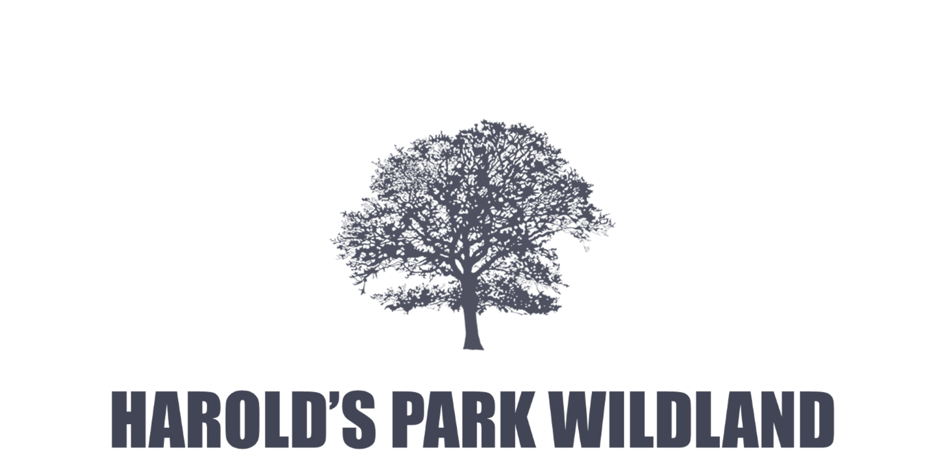 Harold's Park Wildland