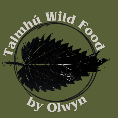 Foraging, Yoga and Thai Massage with Olwyn