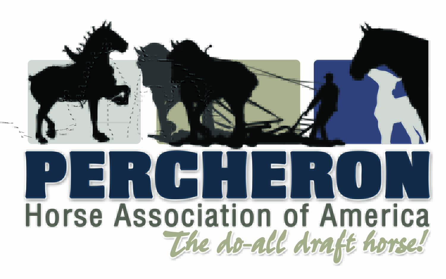 Percheron Horse Association of America