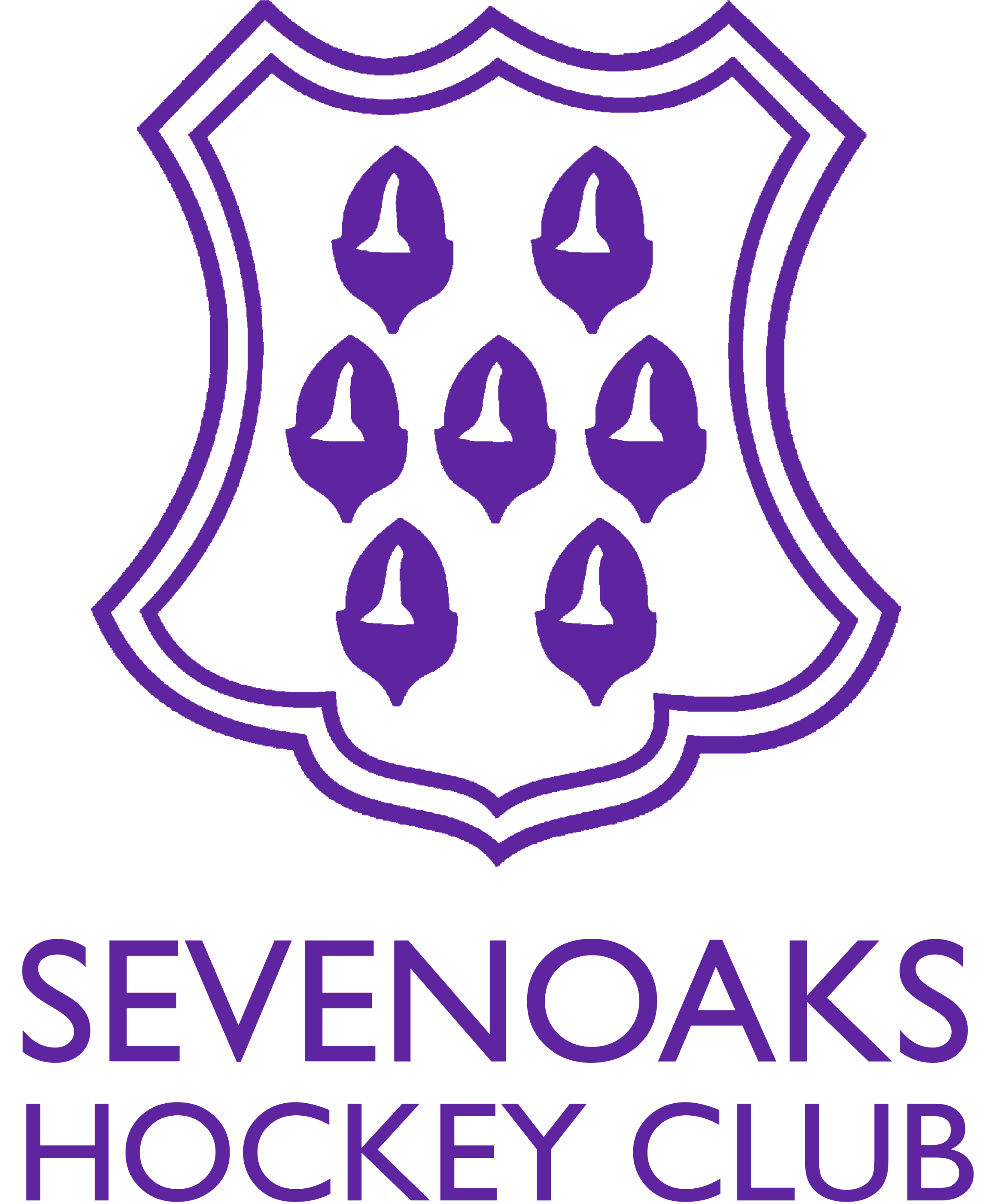 Sevenoaks Hockey Club